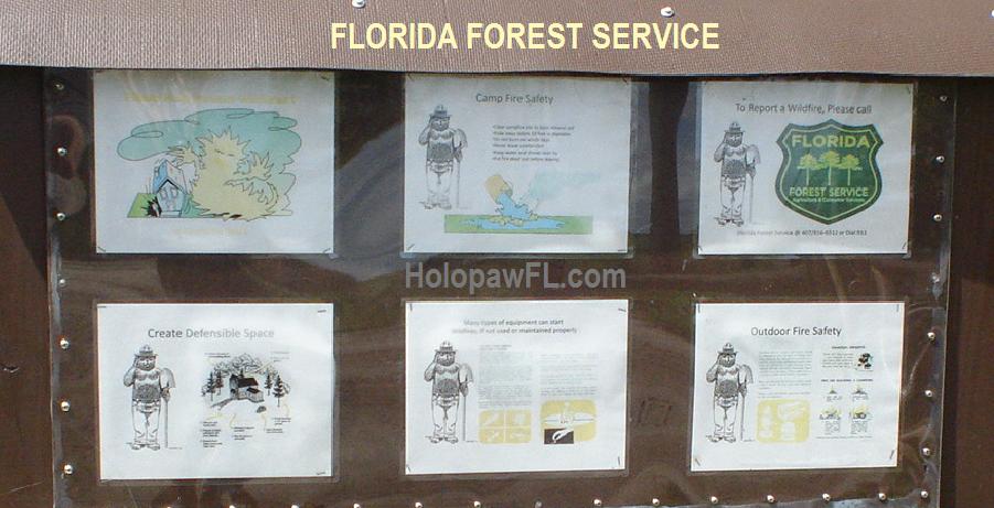 Suburban Estates Holopaw Florida Forest Service