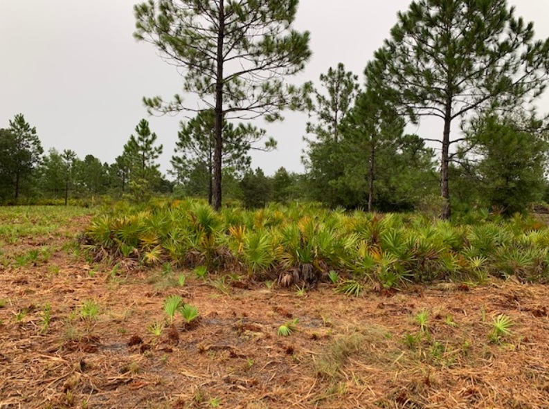 Florida Recreational off roading atving land for sale camping camp