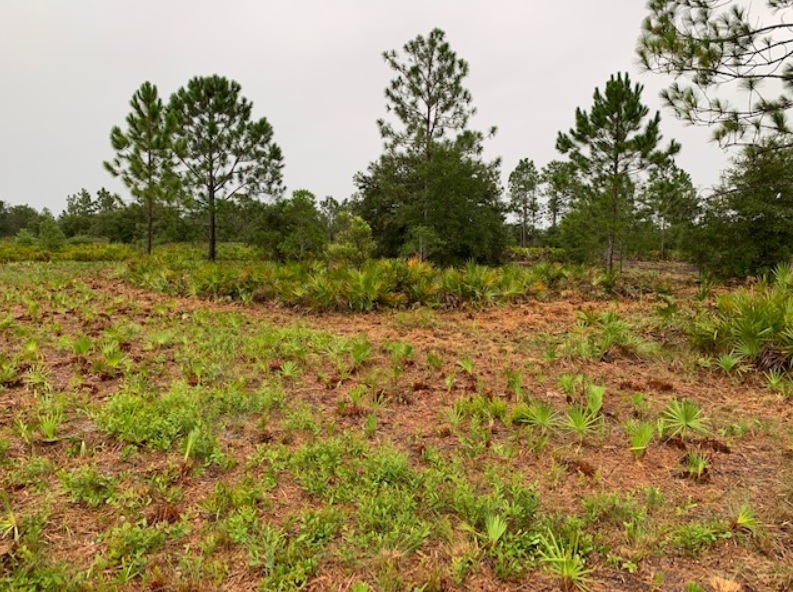 Florida Recreational off roading atving land for sale camping camp