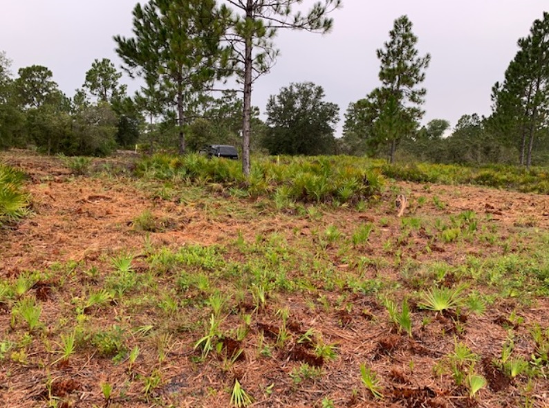 Florida Recreational off roading atving land for sale camping camp