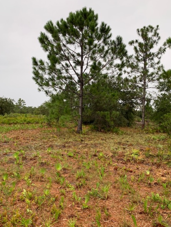 Florida Recreational off roading atving land for sale camping camp