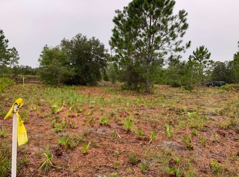 Florida Recreational off roading atving land for sale camping camp