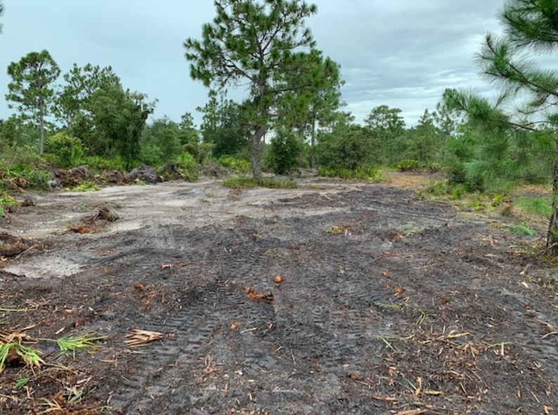 Suburban Estates Holopaw Florida Recreational Land For Sale camp atv off roading